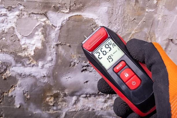 Welch, WV Mold Removal Company