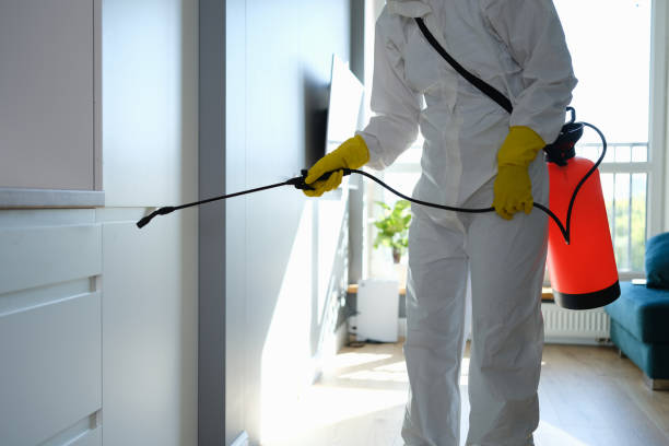 Best Certified Mold Removal  in Welch, WV