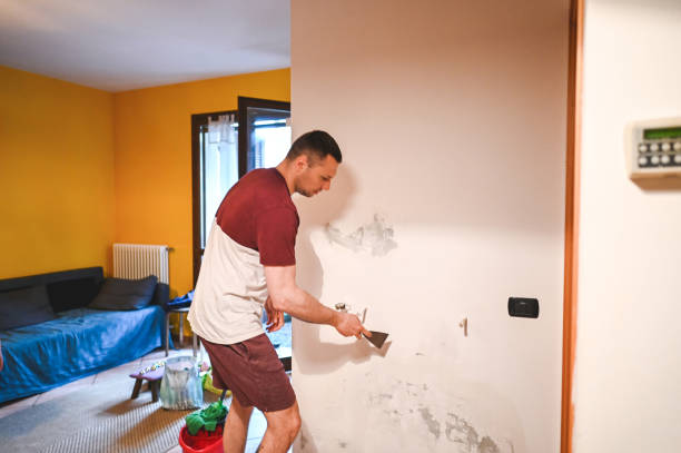 Best Mold Removal and Inspection  in Welch, WV